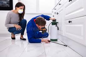 Best Fumigation Services  in Tekamah, NE